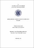 10670304.pdf.jpg