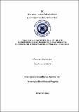 10656383.pdf.jpg
