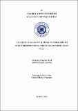 10717790.pdf.jpg