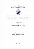 10737668.pdf.jpg