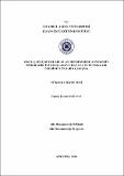 10664022.pdf.jpg