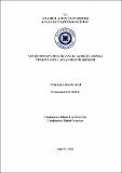 10714335.pdf.jpg