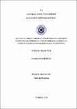 10739923.pdf.jpg