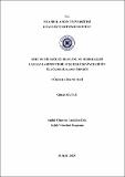 10718198.pdf.jpg
