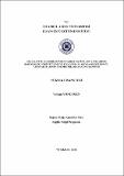 10738273.pdf.jpg