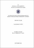 10675502.pdf.jpg