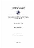 10678609.pdf.jpg